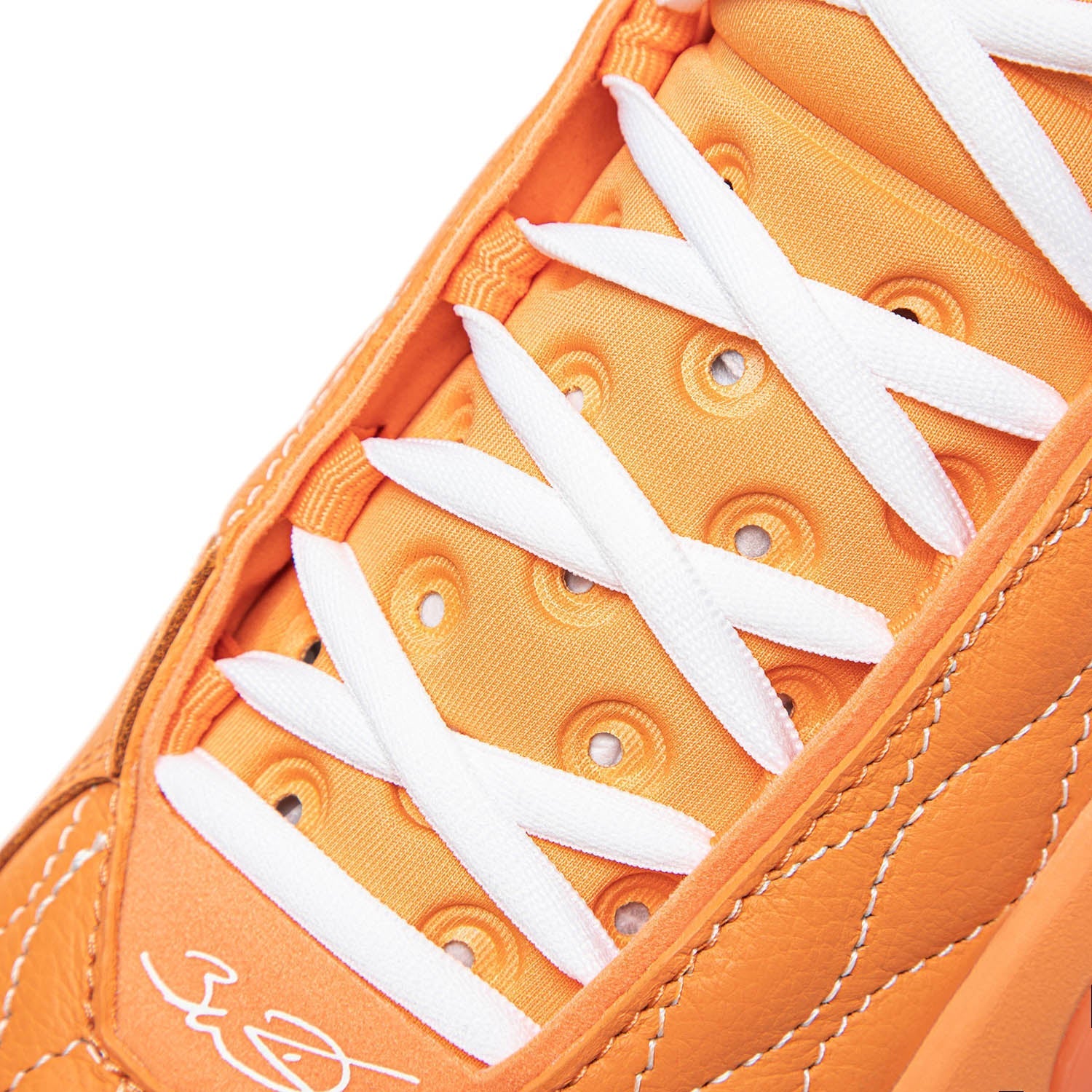 Way of Wade 11 "Sunshine State"